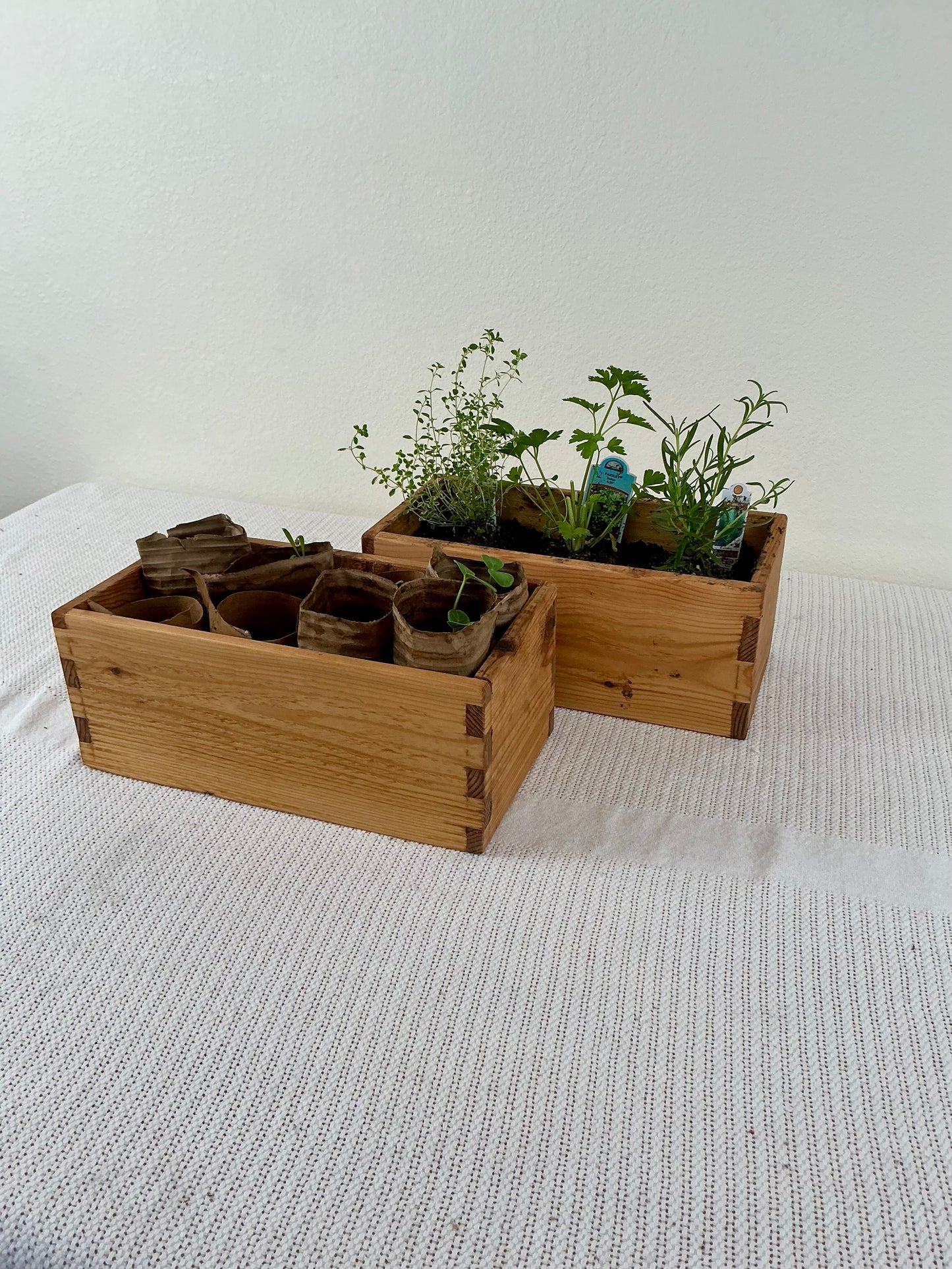 Modern Cedar Planter Box 12x6 Handmade Wooden Herb Planter Indoor Outdoor Rustic Minimalist Garden Box Small Planter